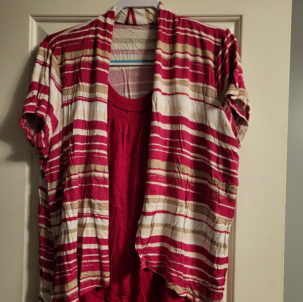 Womens plus shirt